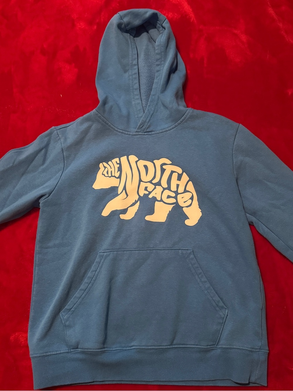 The North Face Boys Bear Logo Hoodie Size L (12) Slate Blue Pullover Sweatshirt